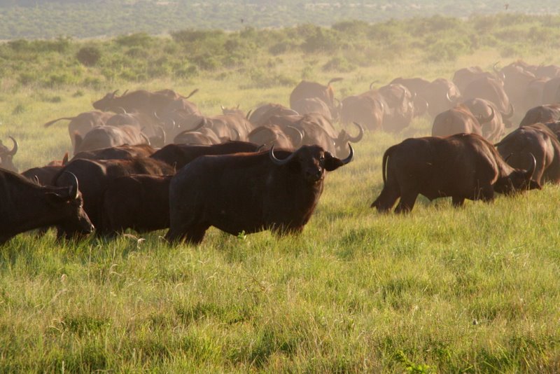 kenya_2007_0620